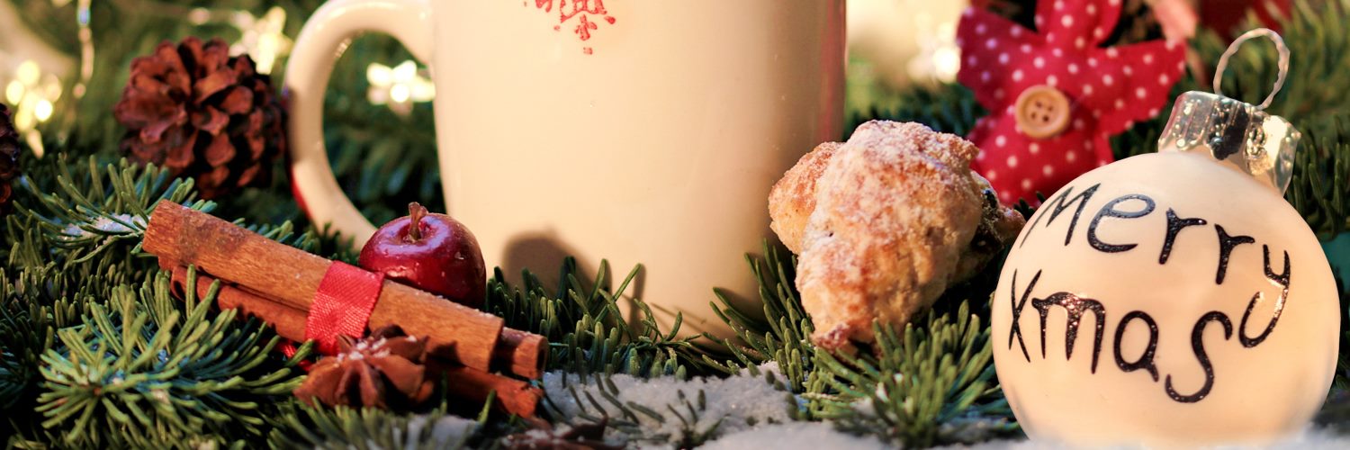 Alleinunterhalter für Weihnachtsfeier Musiker für Adventsfeier Programm